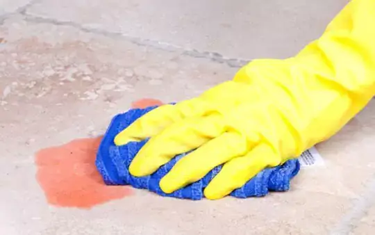tile-care-imgg Tile Care & Maintenance | Wade's Interiors